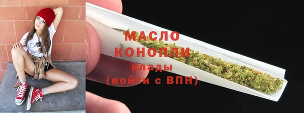 индика Анива
