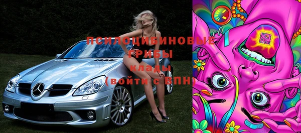 PSILOCYBIN Михайловск
