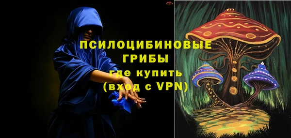 PSILOCYBIN Михайловск