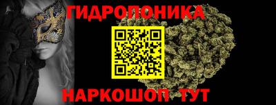 дмт Заволжье