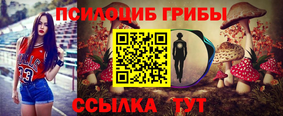 Фрязино  Псилоцибиновые грибы прущие грибы  Вход с VPN 