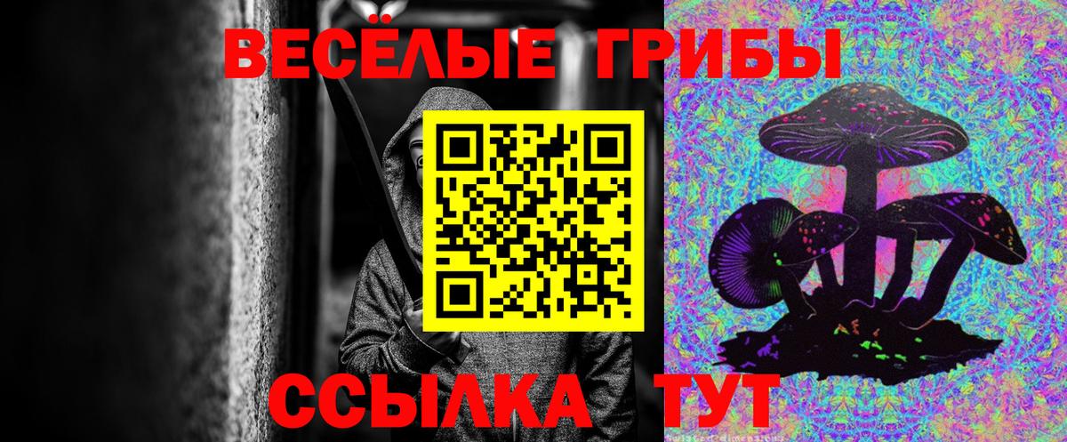 Псилоцибиновые грибы Magic Shrooms Фрязино