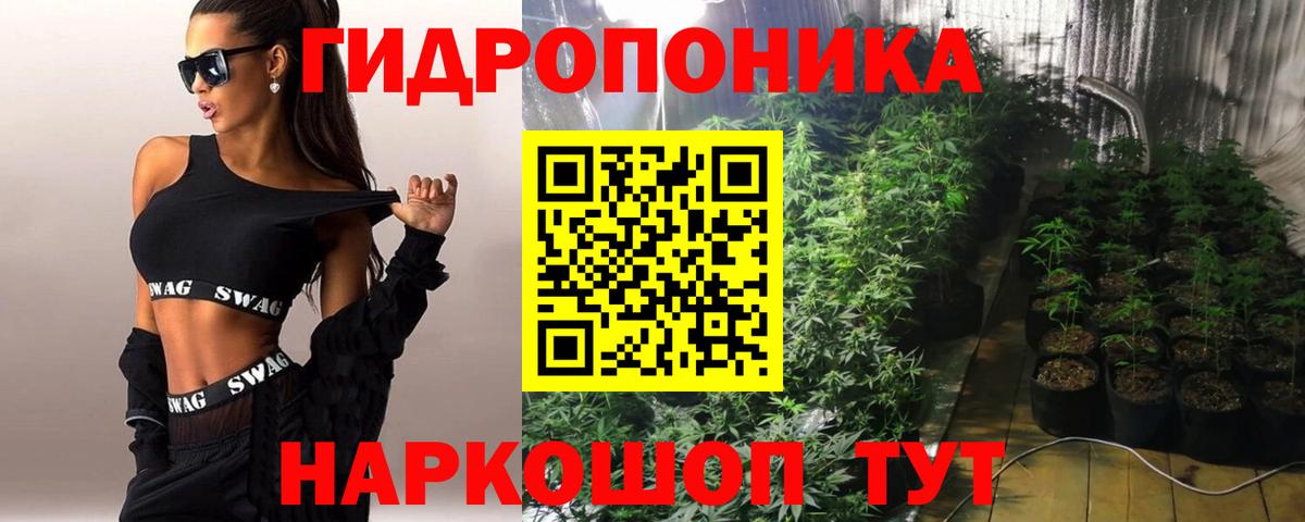 Марихуана сатива  Канабис MAZAR  Фрязино  Марихуана планчик  Конопля VHQ 